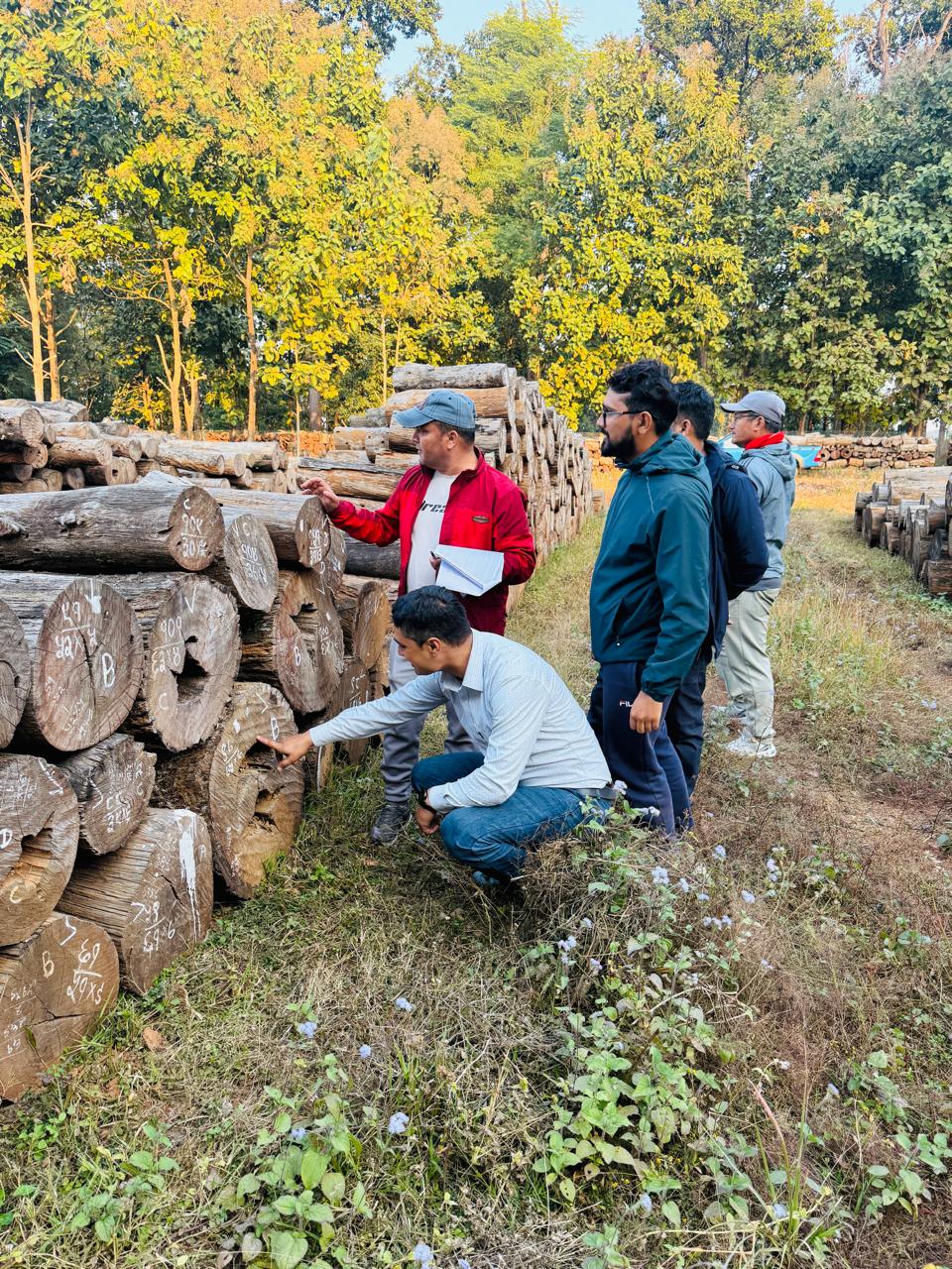 कटान मुछान संकलन