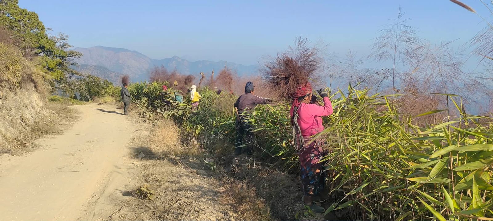कबुलियती वन व्यवस्थापन